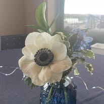 Liv Gracefully Blooms Image