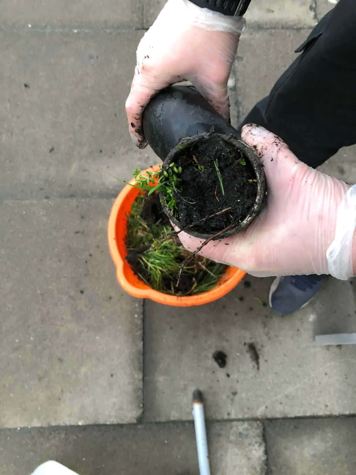 Images Coordinated Cleaning Services