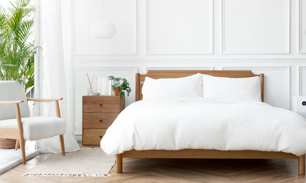 Deysi Cleaning Services Logo