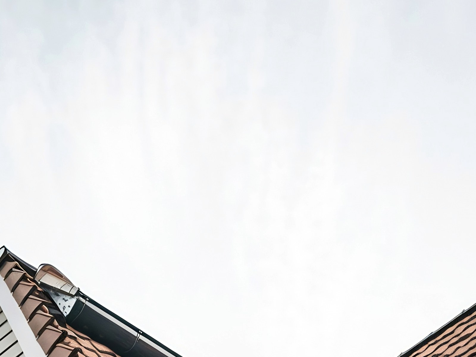 Professional Gutter Services