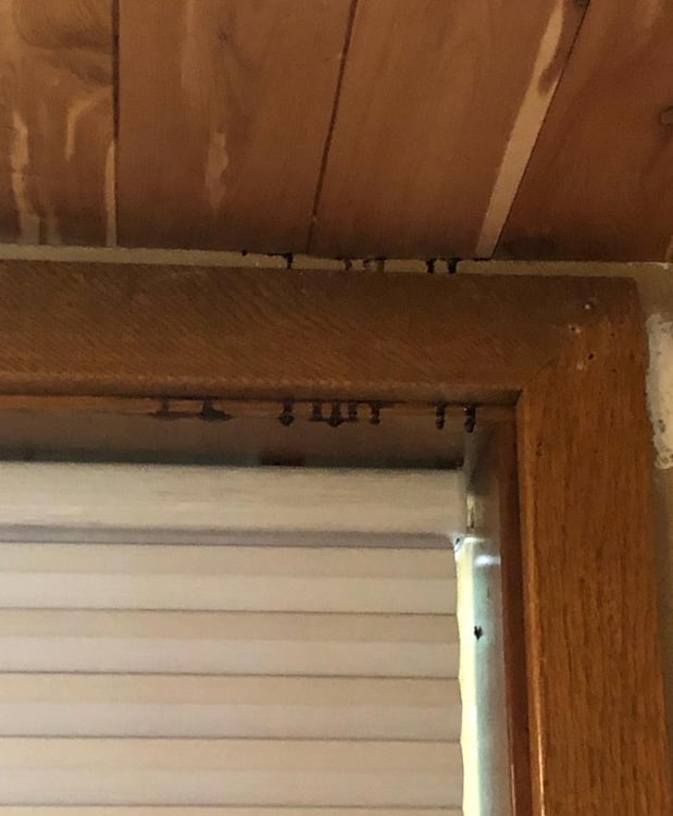 Images DBR Construction
