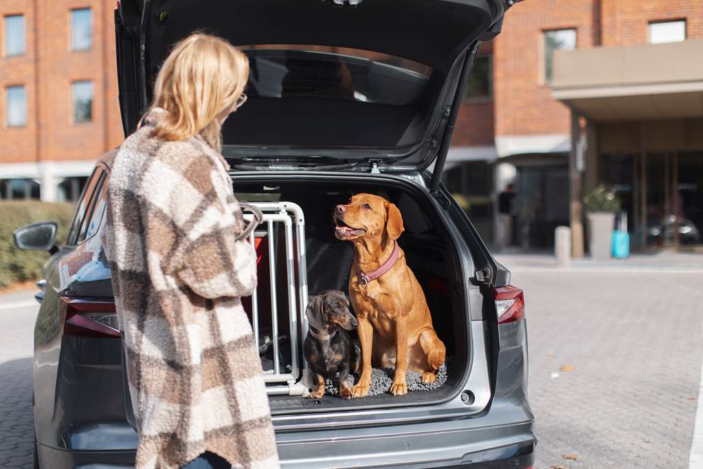 Images Radisson Blu Arlandia Hotel, Stockholm-Arlanda