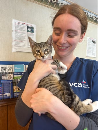 Images Madison Animal Hospital