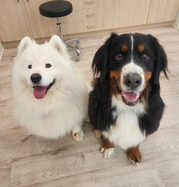 Images Petfolk Veterinary & Urgent Care - Mansfield