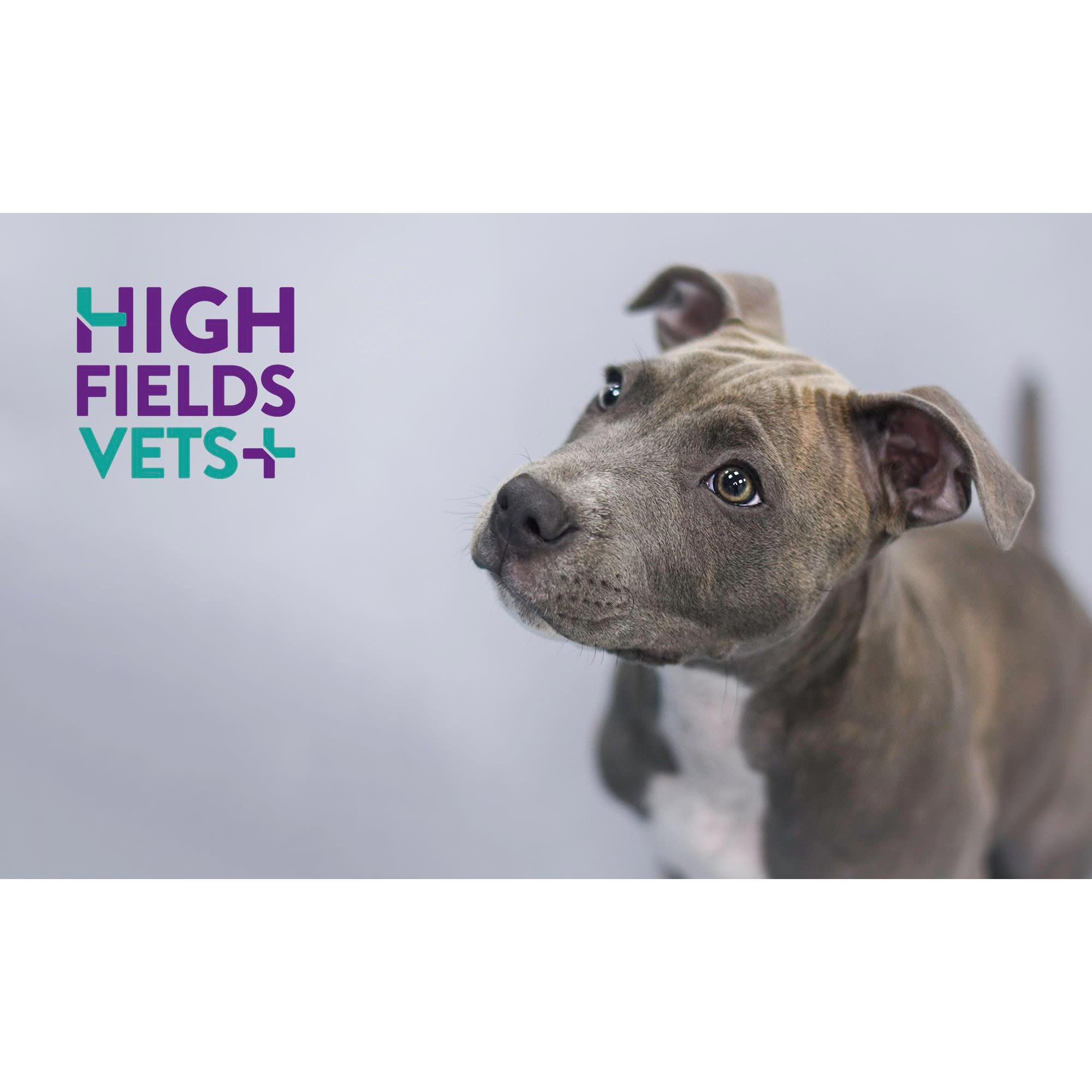 Highfields Vets Logo