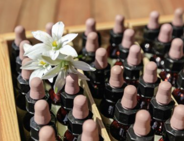 Naturheilpraxis Dolfi GmbH, Husmatt 2 in Dättwil AG