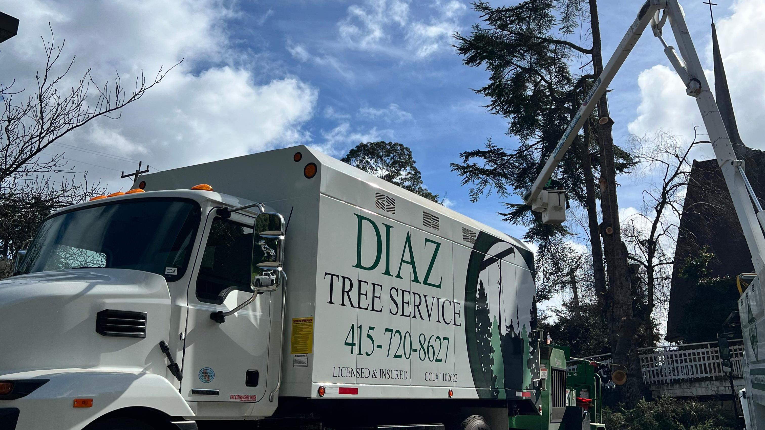 Diaz Tree Service, Inc. offers a wide range of tree care services to meet your property's needs. From routine maintenance to emergency tree care, our experienced arborists provide personalized solutions tailored to your trees' health and well-being. Whether you need pruning, removal, or disease management, count on us for reliable and professional tree care services.