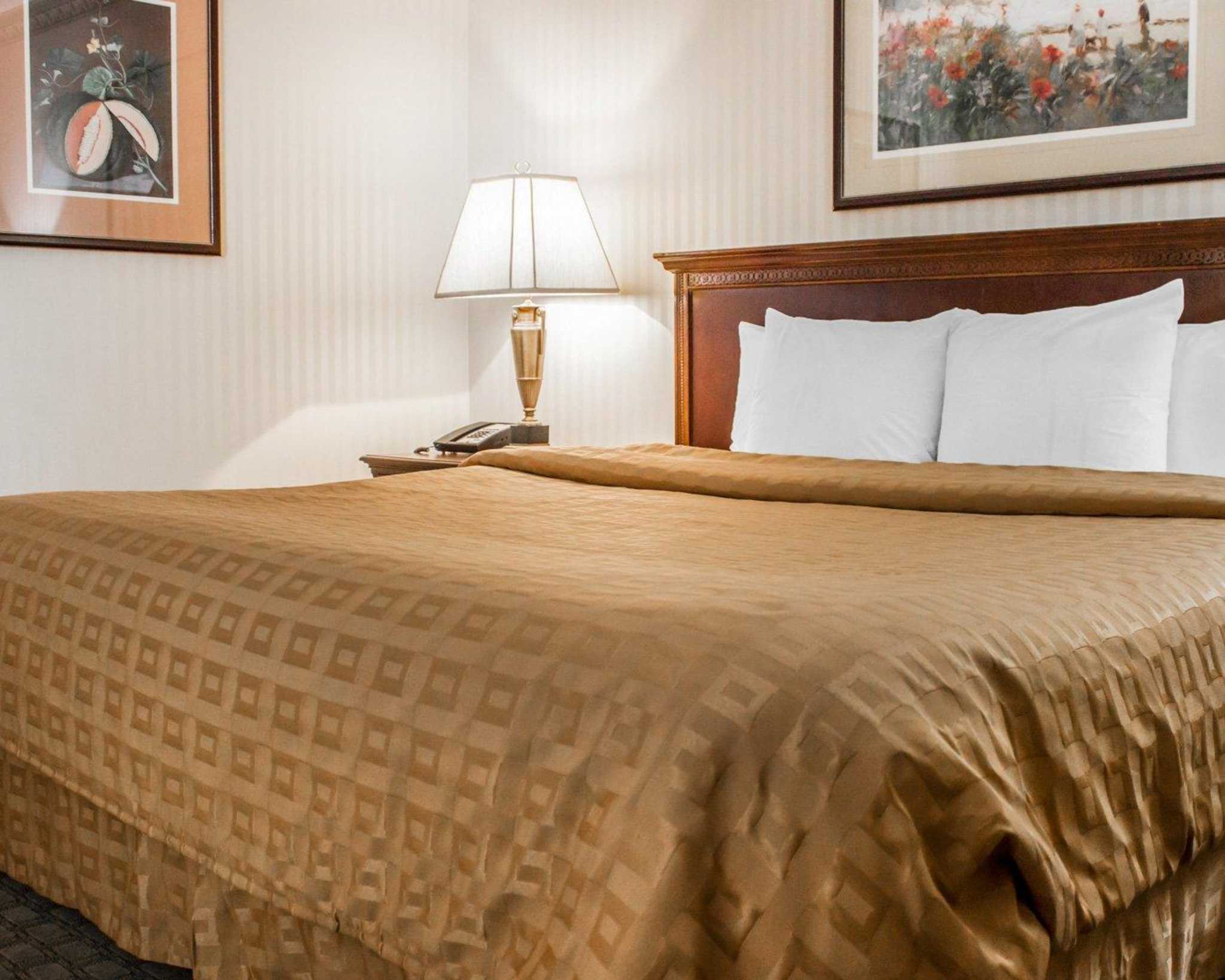 Golden Triangle Motel Erie Pa Reviews Golden Triangle Motel Erie Pa Reviews