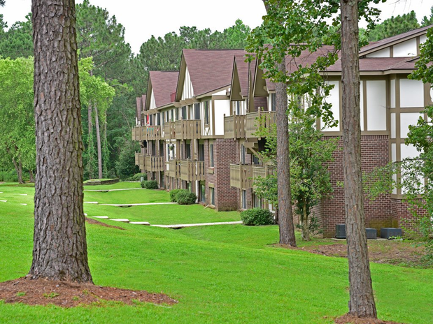 Images Lake in the Pines