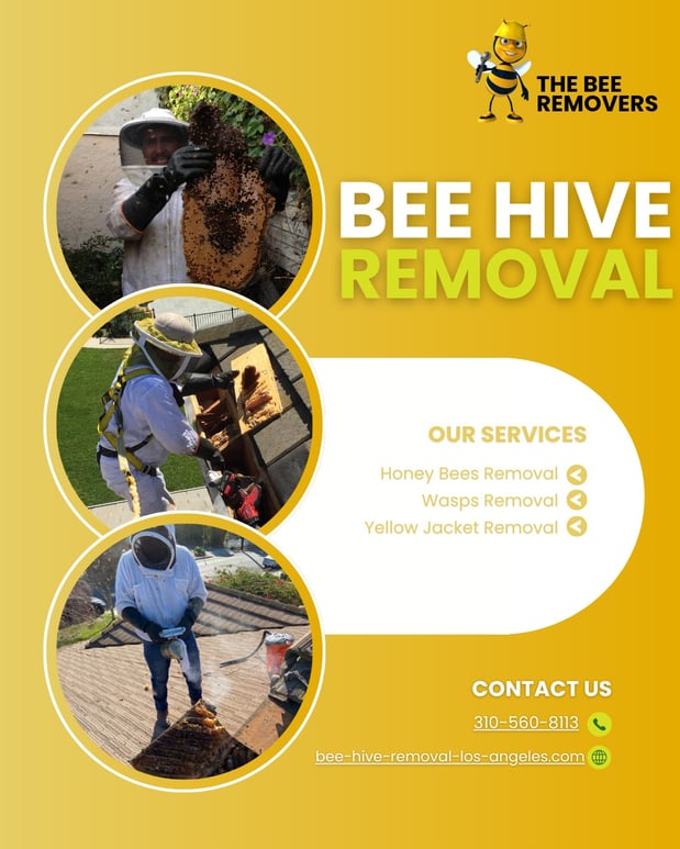Images The Bee Removers