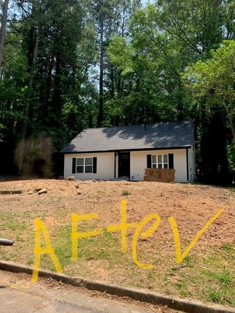 Images Owl Tree Experts