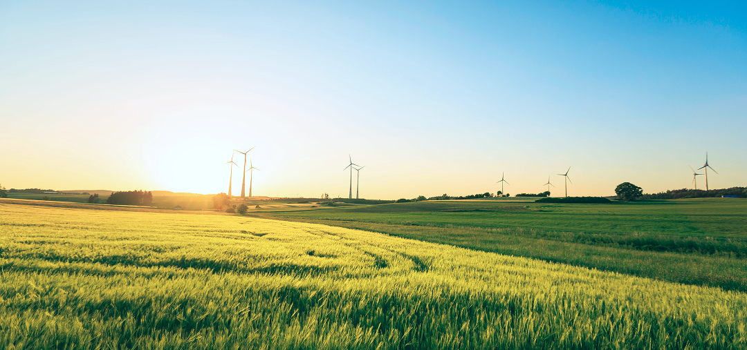 A green field with windmills.