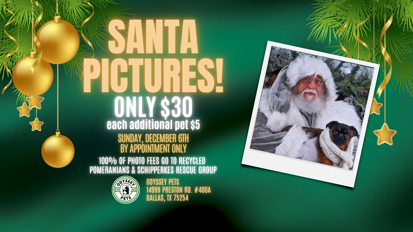 Image of Local Pet Event Santa Photos at Odyssey Pets! Nearby