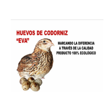 Huevos de Codorniz Eva