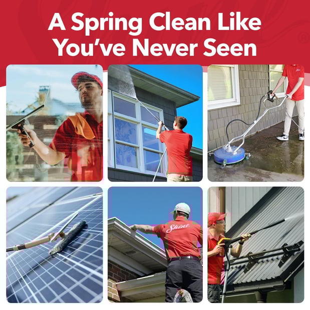 Images Shine of Charlotte