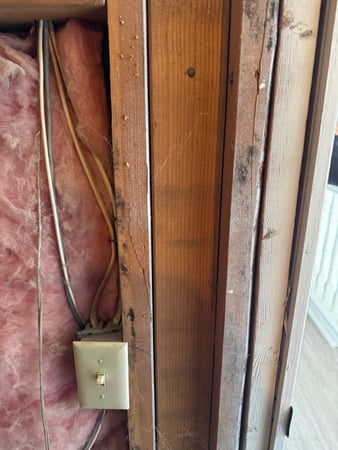 Images 24H Mold Inspection of Los Angeles