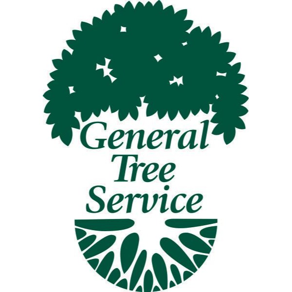 General Tree Service - Portland, OR - (503)207-7423 | ShowMeLocal.com