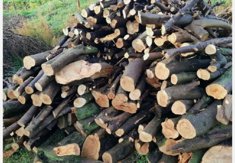 Images Legna da Ardere