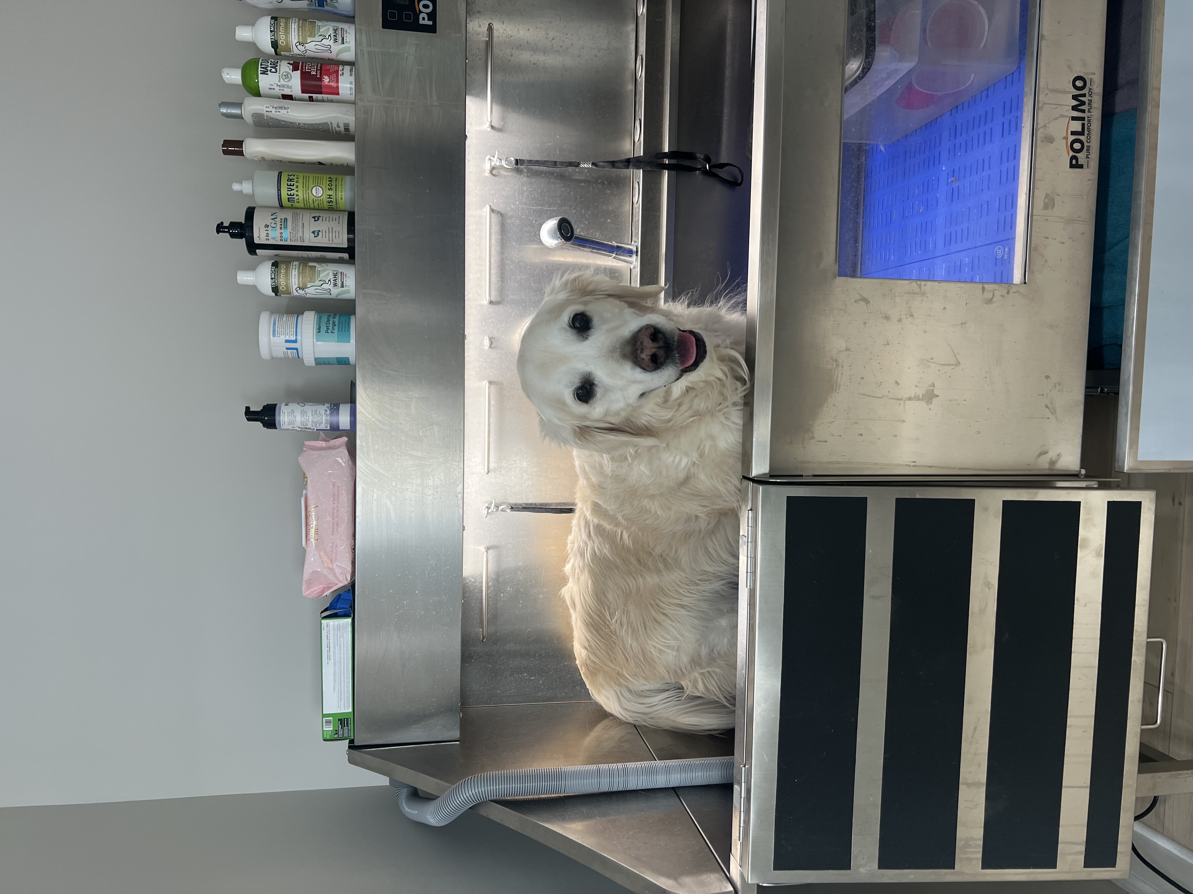 Pet Bathing