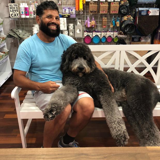 Images Woof Gang Bakery & Grooming Sarasota
