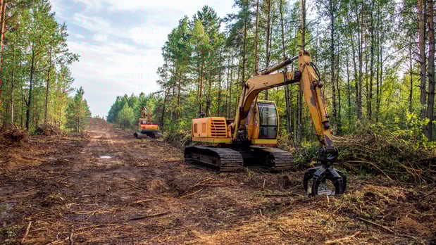 Images Boa Excavating