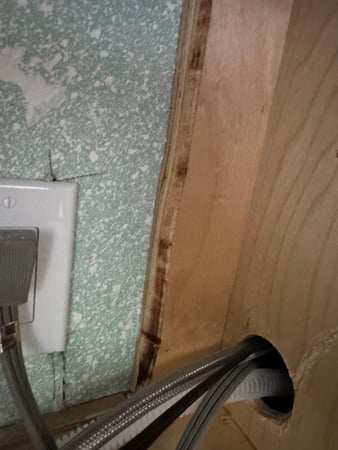 Images 24H Mold Inspection of Los Angeles