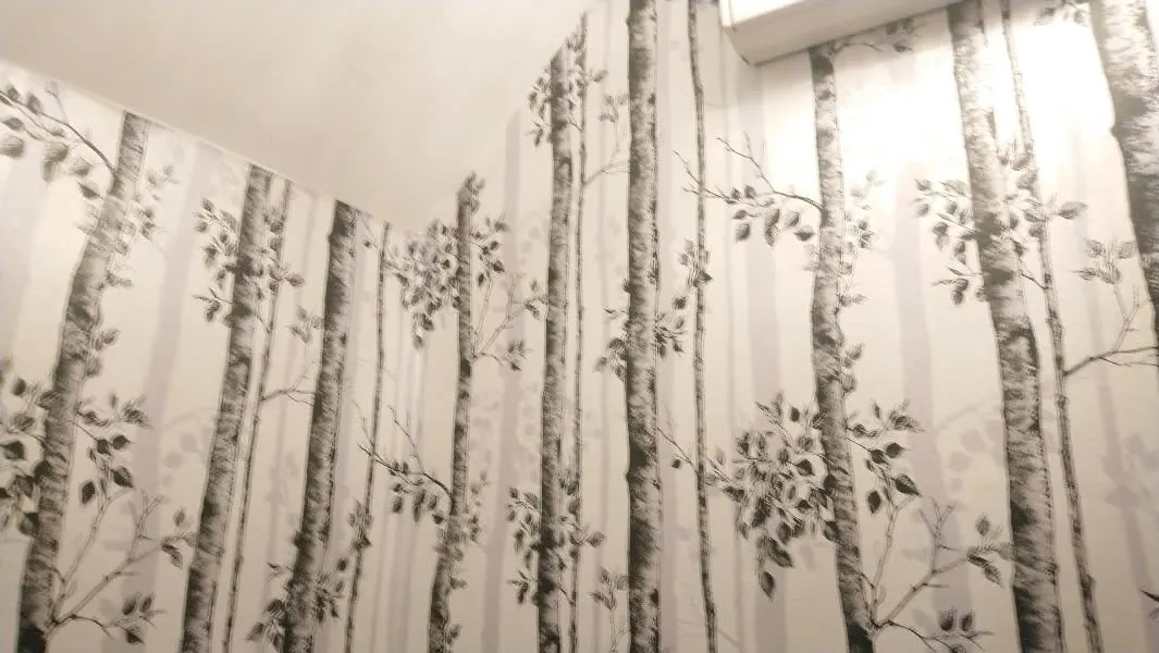 Images Simon Scrimshaw Painting & Decorating