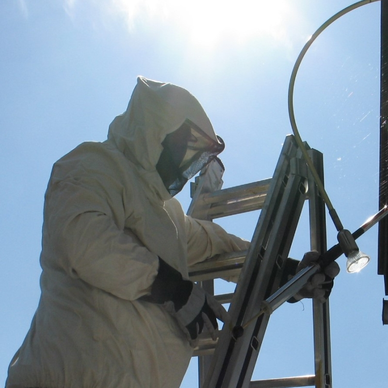 MyKammerjäger, Lieseich 2 in Fridolfing