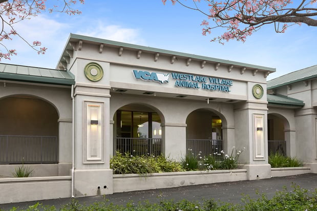 Images VCA Westlake Village Animal Hospital