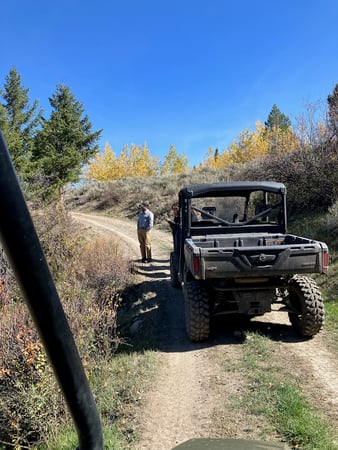 Images Backcountry Safaris