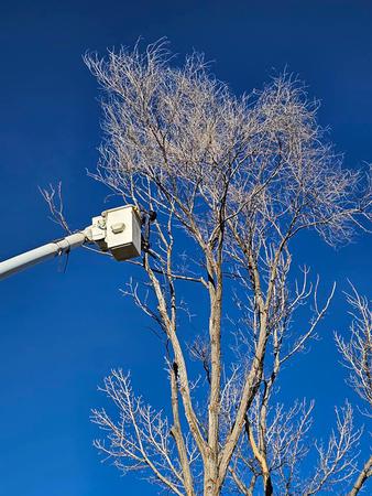 Images H & S Tree Care