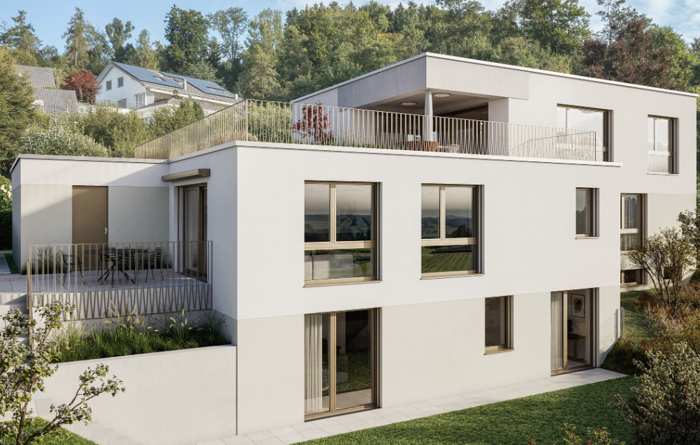 bark architekten ag, Bremgarterstrasse 12 in Widen
