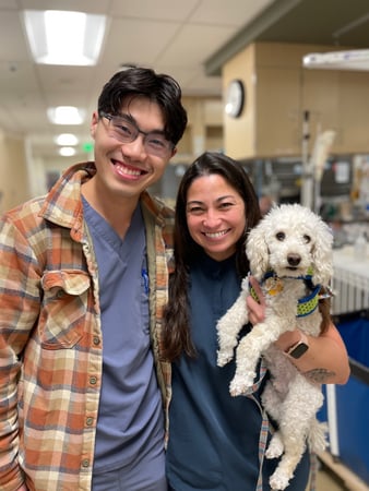 Images VCA West Los Angeles Animal Hospital