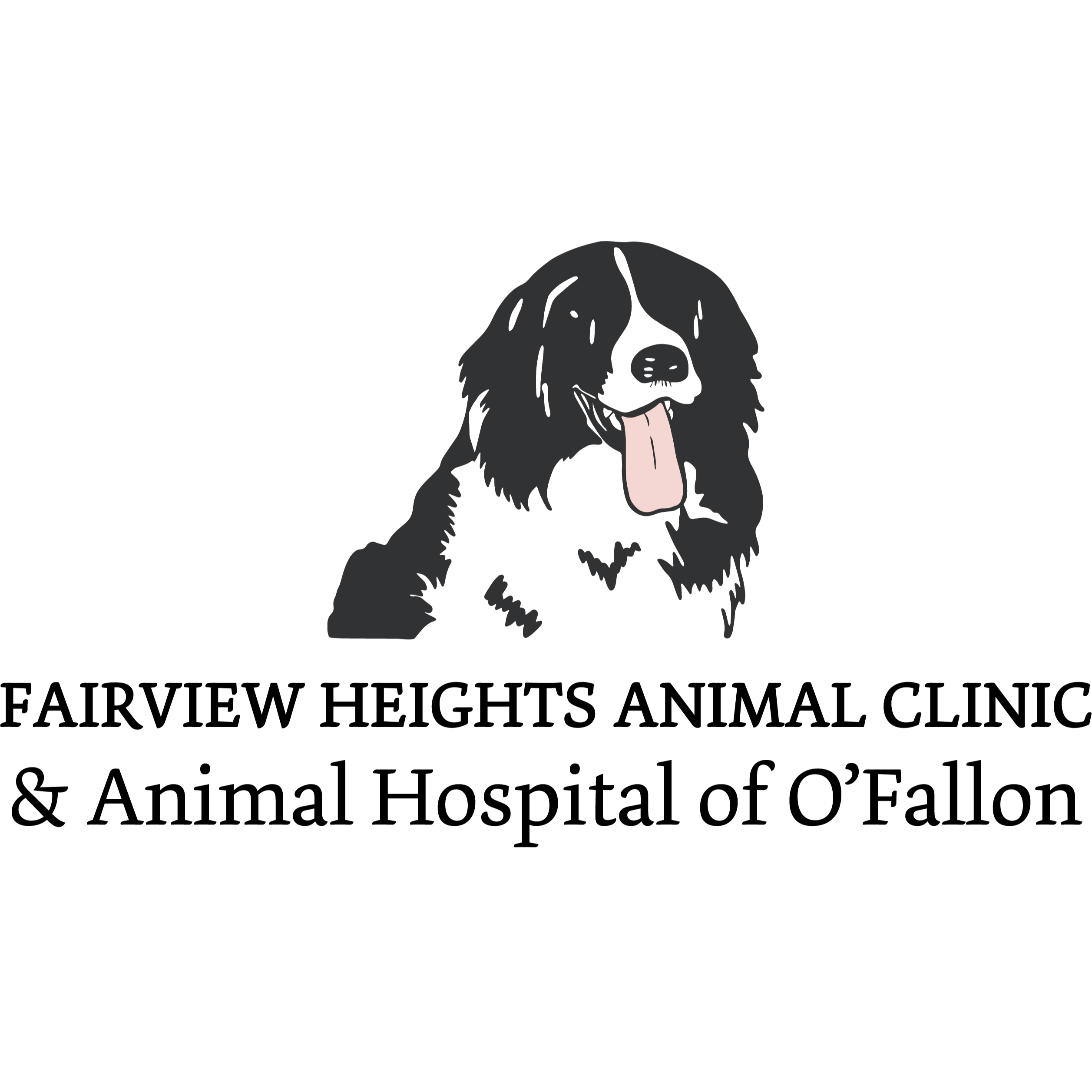 Welcome To Fairview Heights Animal Clinic & the Animal Hospital of  O'Fallon, IL | Fairview Heights Animal Clinic & the Animal Hospital of  O'Fallon