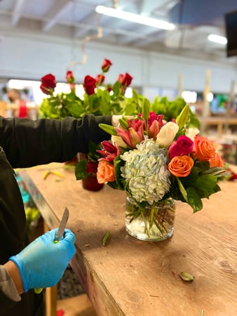Images DBG Flowers - Shelby