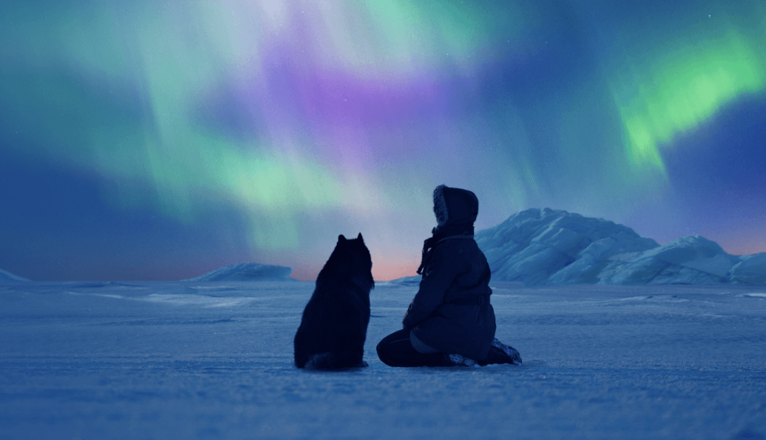 A person in winter clothing and a dog sit on snowy terrain, gazing at vibrant green and purple Northern Lights in a clear night sky. Tranquil and awe-inspiring.
