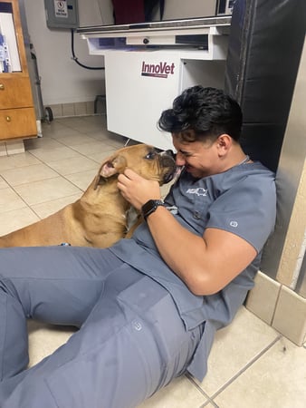 Images VCA Baring Boulevard Animal Hospital