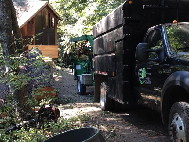 Images Pineda Tree Service