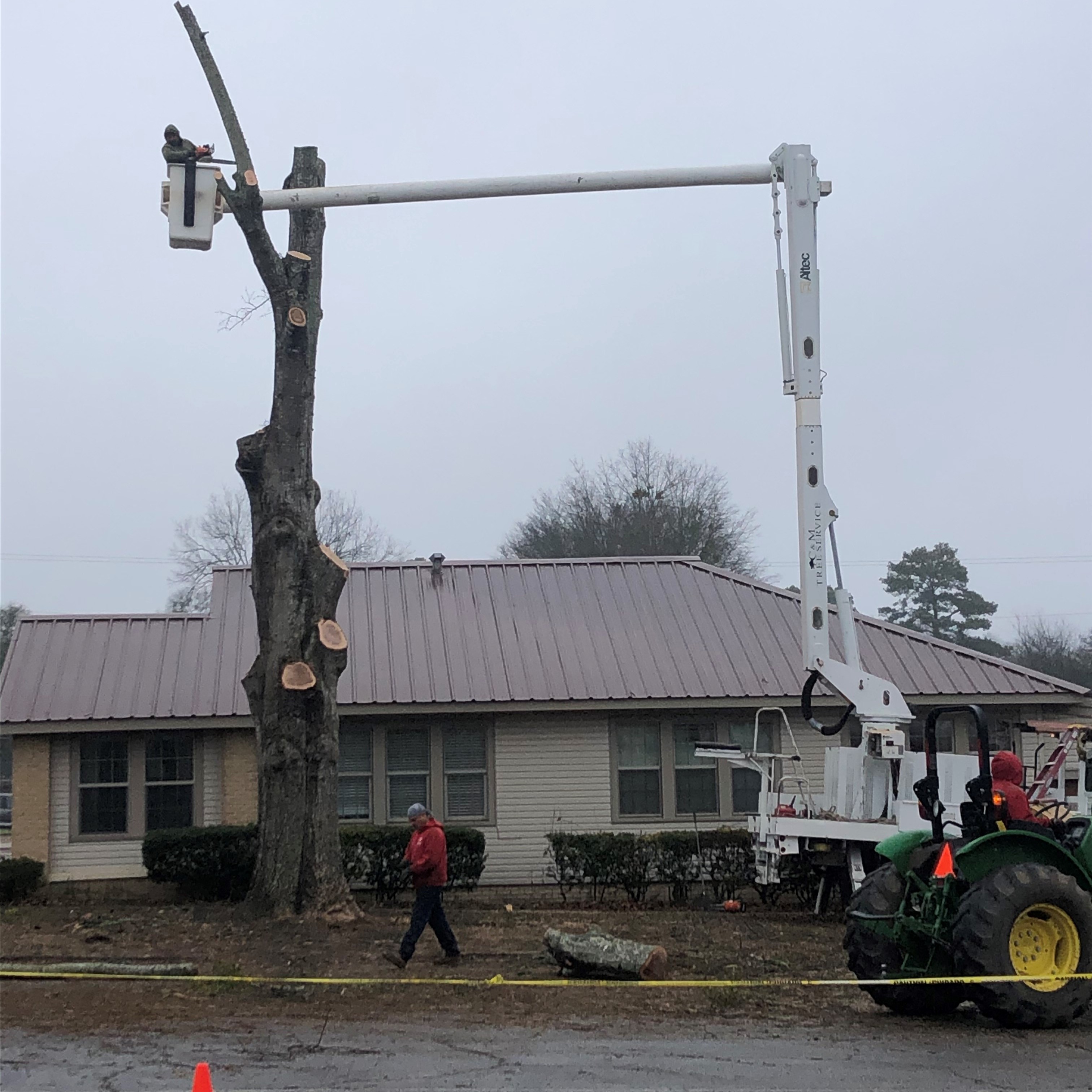 C&M Tree Service