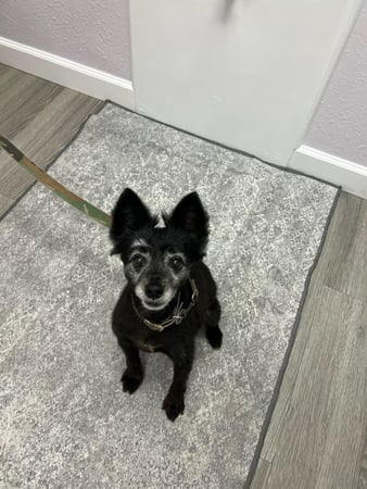 Images Sunshine Animal Hospital