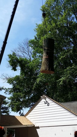 Images Keil Tree Experts Inc