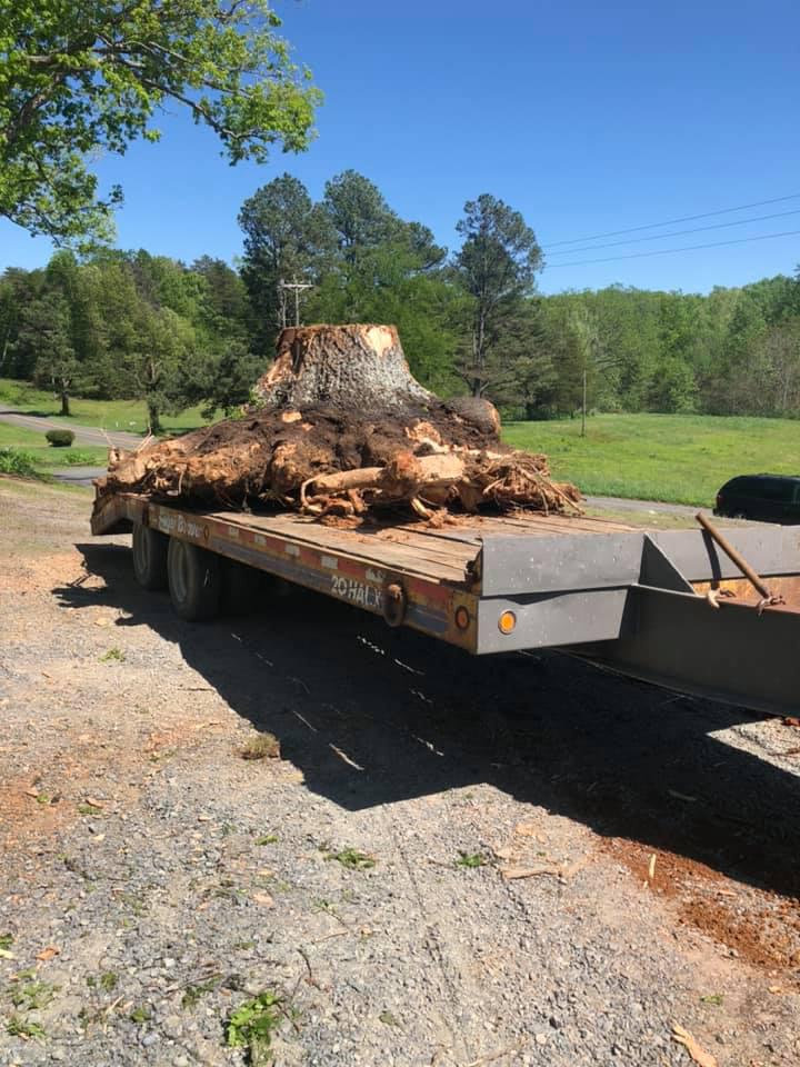 Suthards Excavating and Tree Service LLC Logo