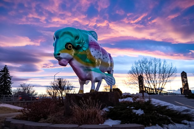 Images Staybridge Suites Great Falls by IHG