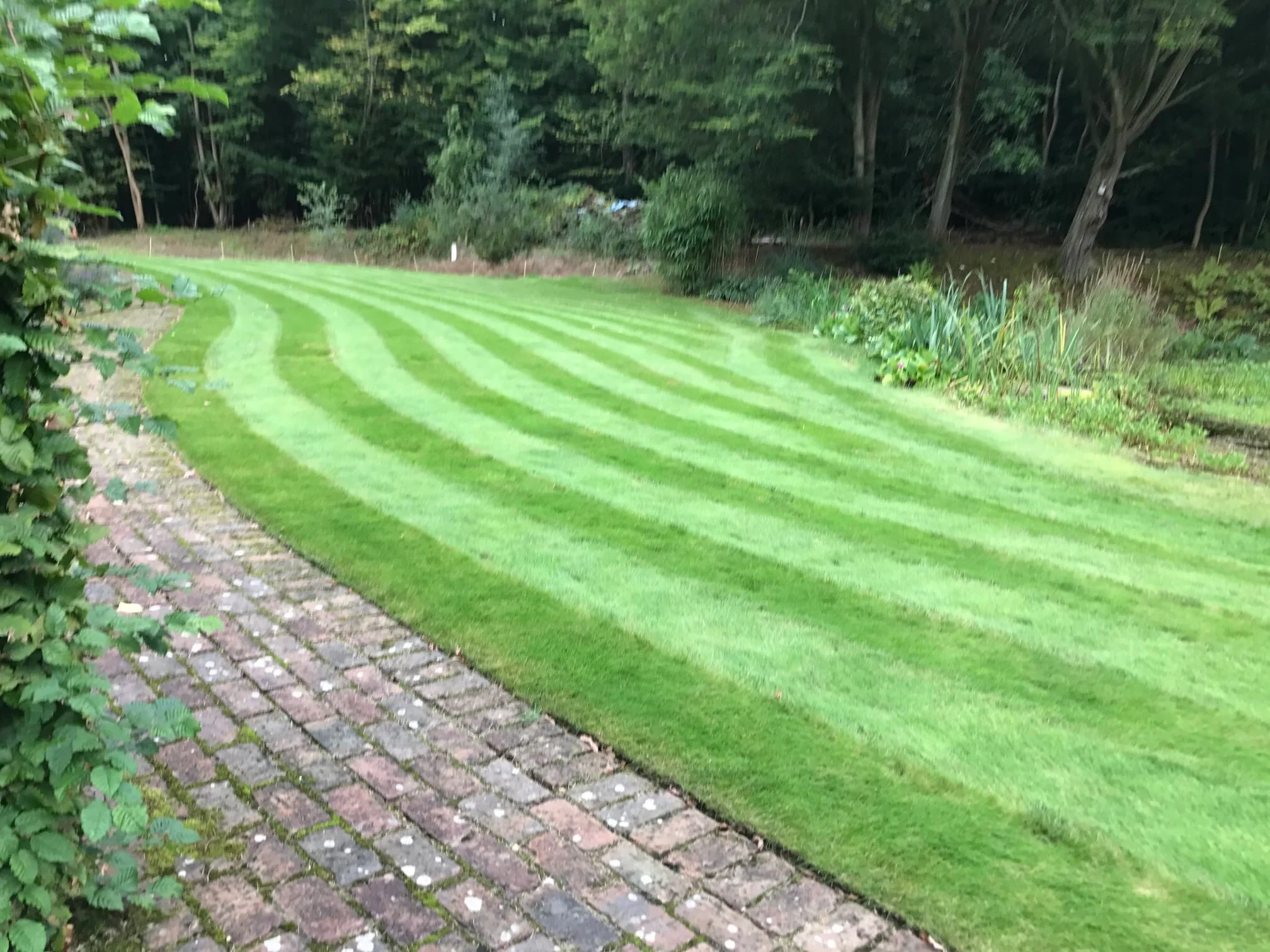 Images Prostyle Gardening & Home Services