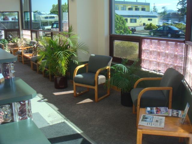 Mt. Baker Auto Glass