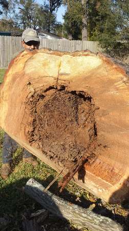 Images TNT Tree Service
