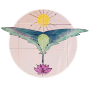 Casa Colibrí Apartamentos Logo