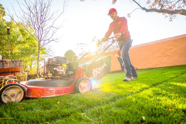 Images Complete Lawn and Tree Care by Saenz & Co.