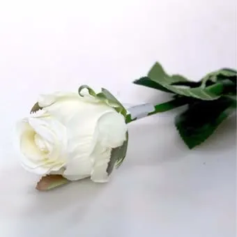 Images Village Green Wholesale Ltd