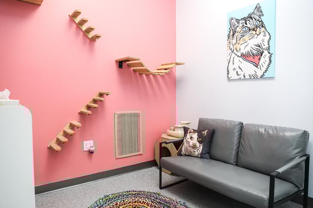 Images PetVet365 Pet Hospital Denver - Highlands Ranch